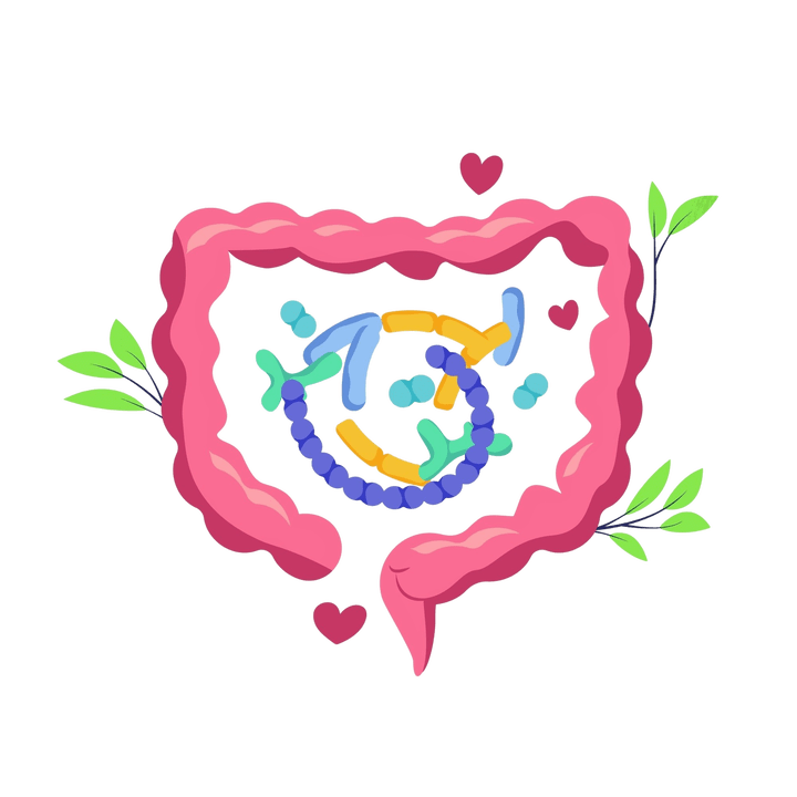 Egészséges emésztés, paraziták nélkül