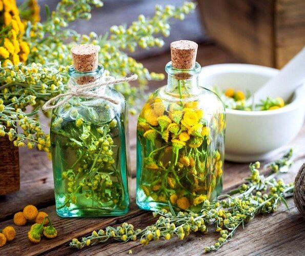 tansy tinktúra férgek eltávolítására